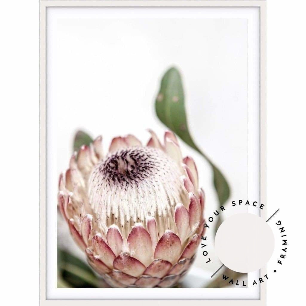 Protea II - Love Your Space