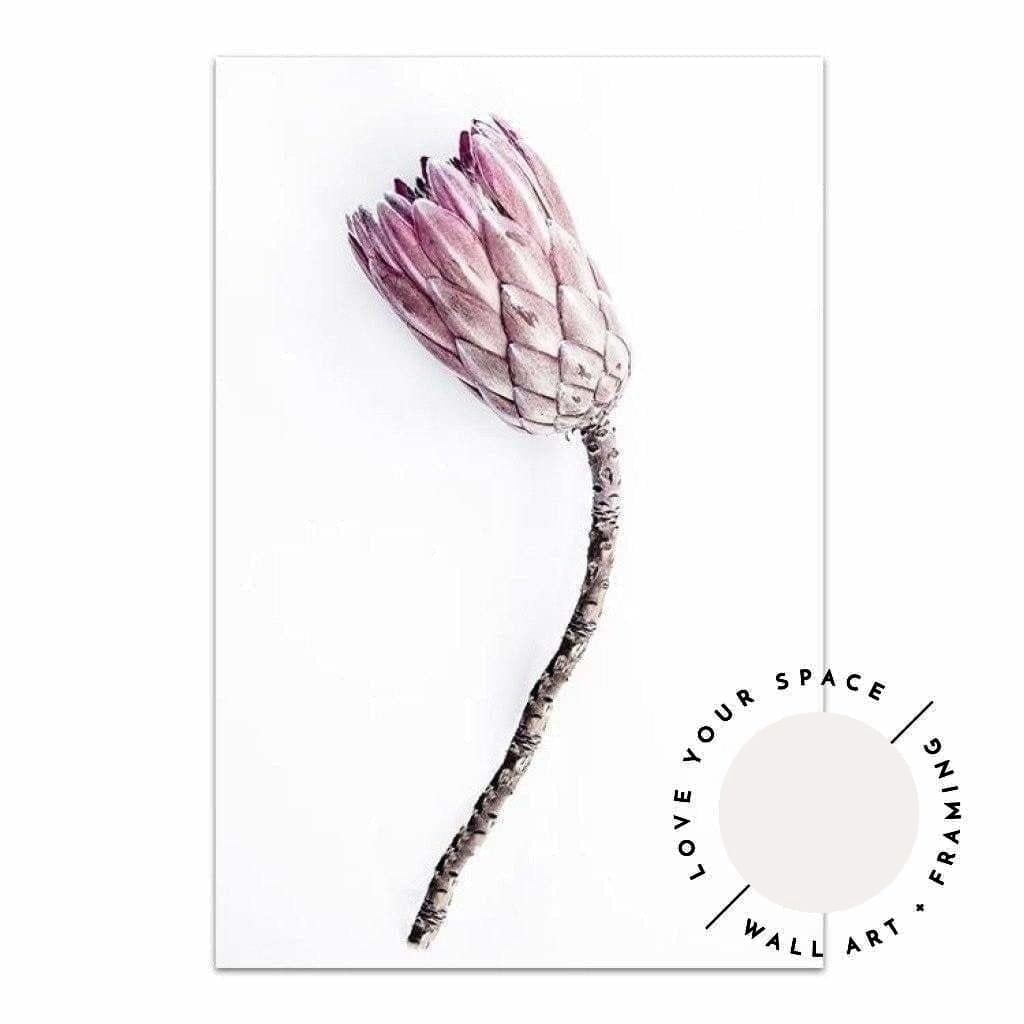 Protea IV - Love Your Space