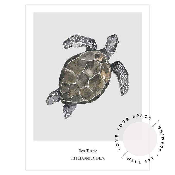 Sea Turtle - Love Your Space