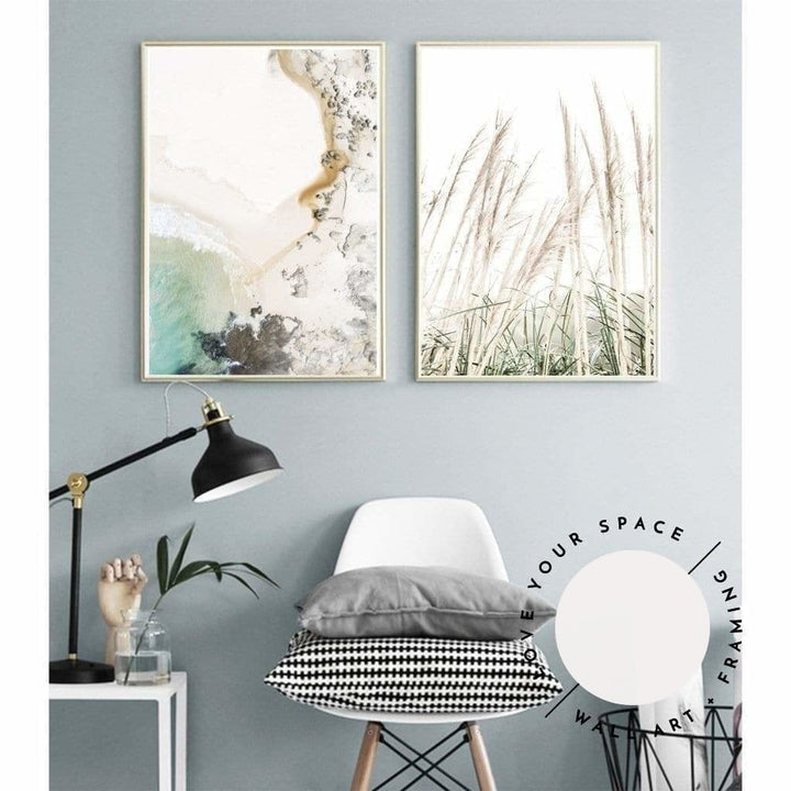 Set of 2 - Birds Eye View no.1 & Pampas Grass II - Love Your Space