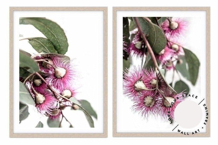 Set of 2 - Eucalyptus I + II - Love Your Space