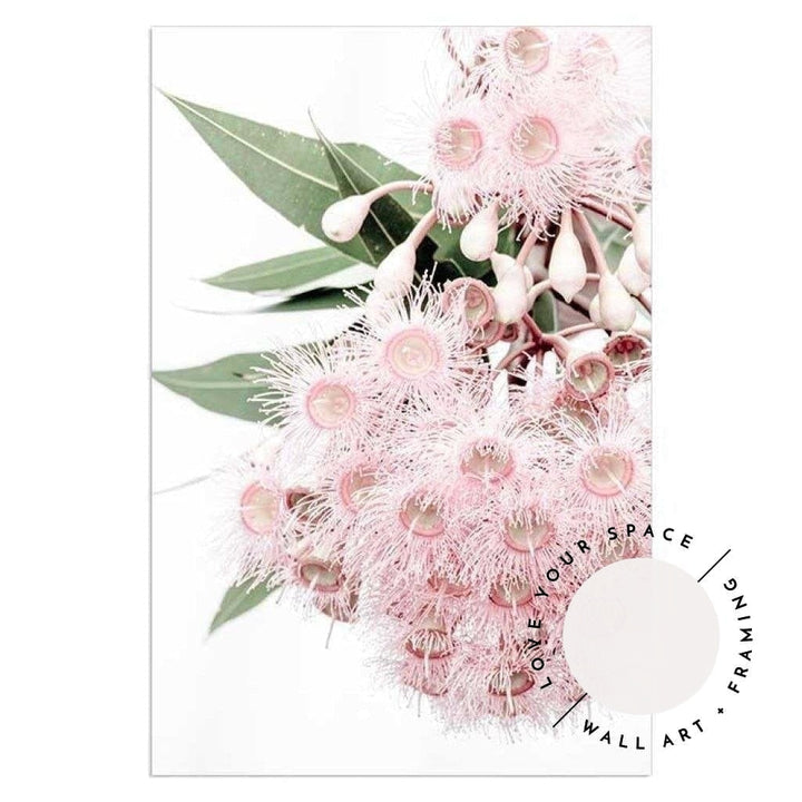 Set of 2 - Icy Pink Eucalyptus no.1 & Eucalyptus Leaves no. 2 - Love Your Space