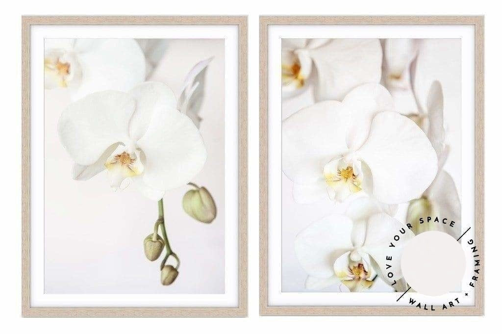 Set of 2 - Orchid I + Orchid II - Love Your Space