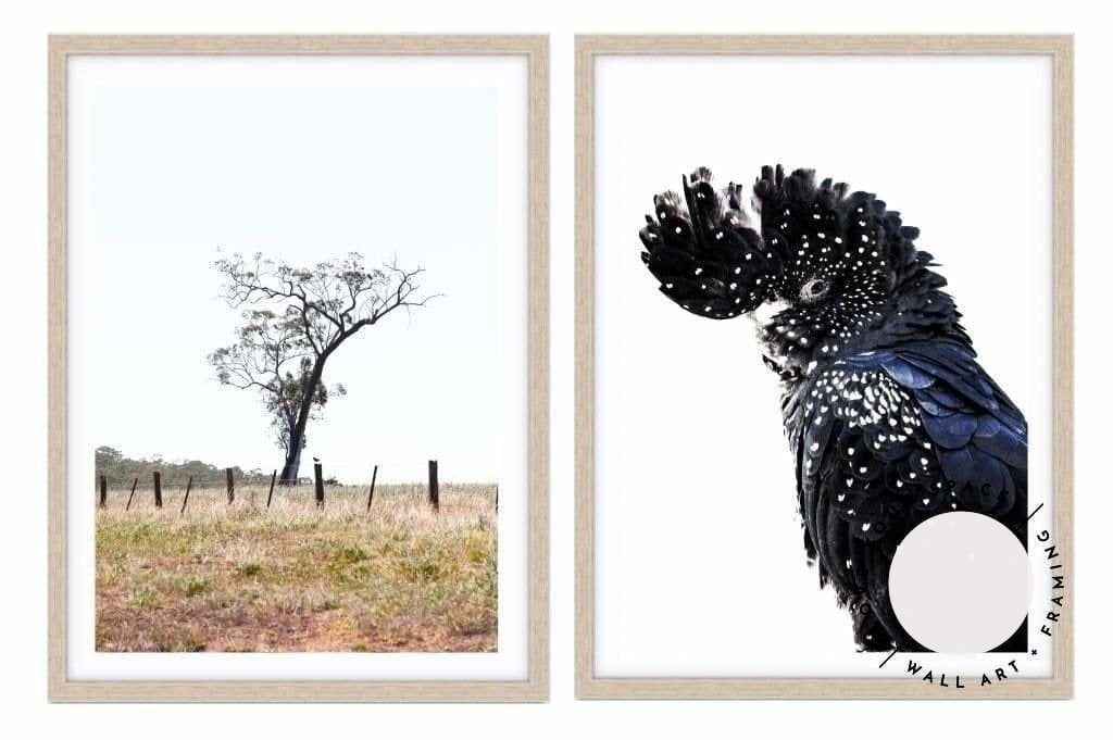 Set of 2 - Outback no.1 & Black Cockatoo - Love Your Space