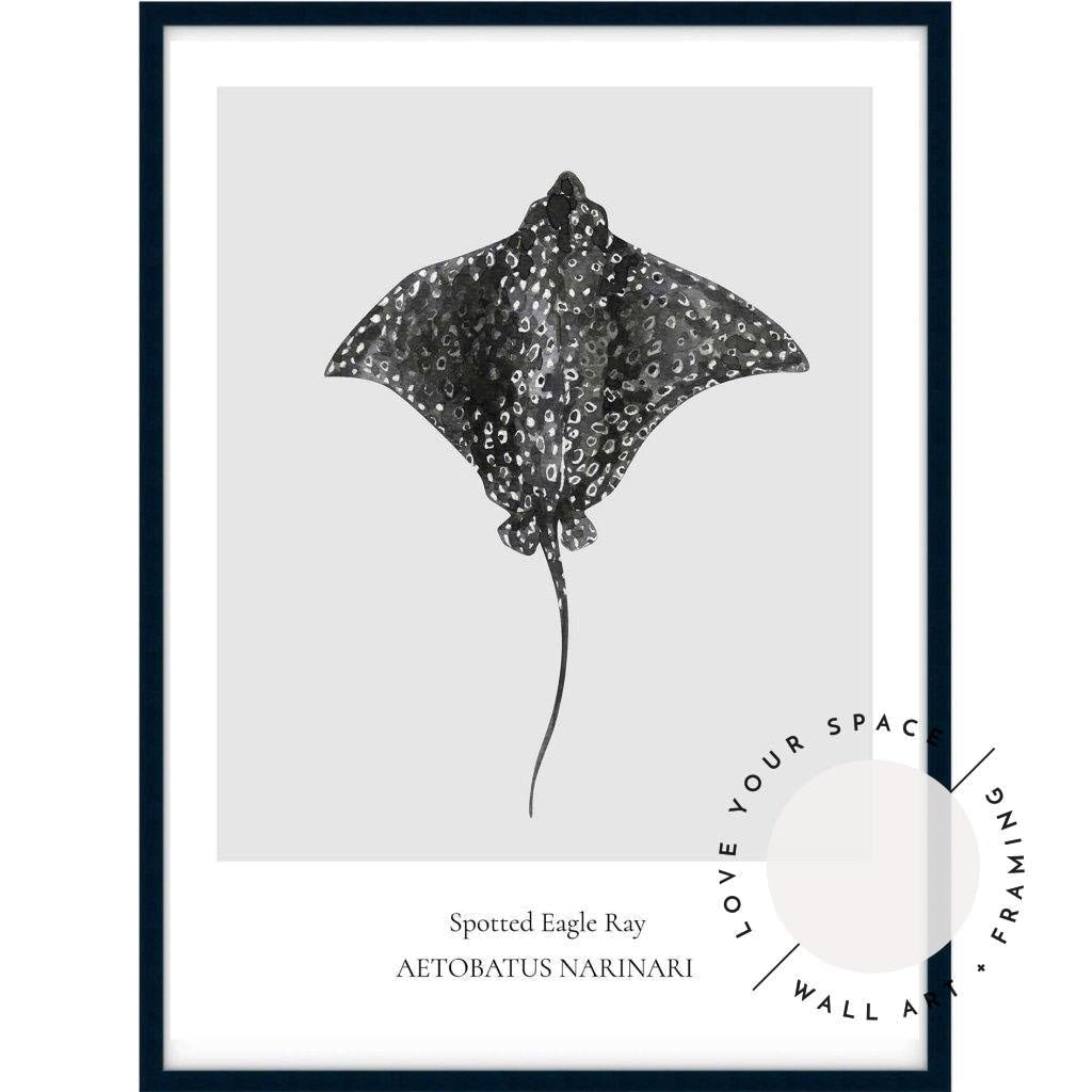 Spotted Eagle Ray - Love Your Space