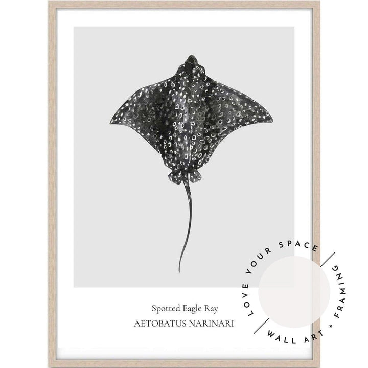 Spotted Eagle Ray - Love Your Space