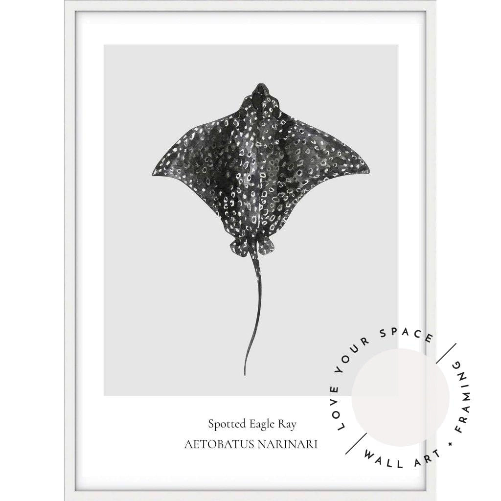 Spotted Eagle Ray - Love Your Space