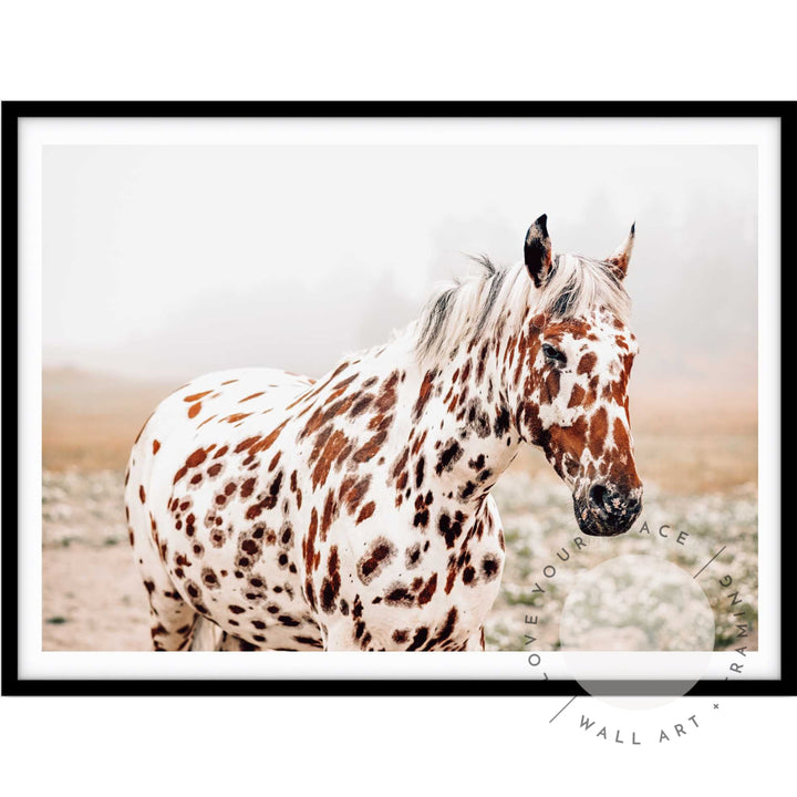 Spotty Horse