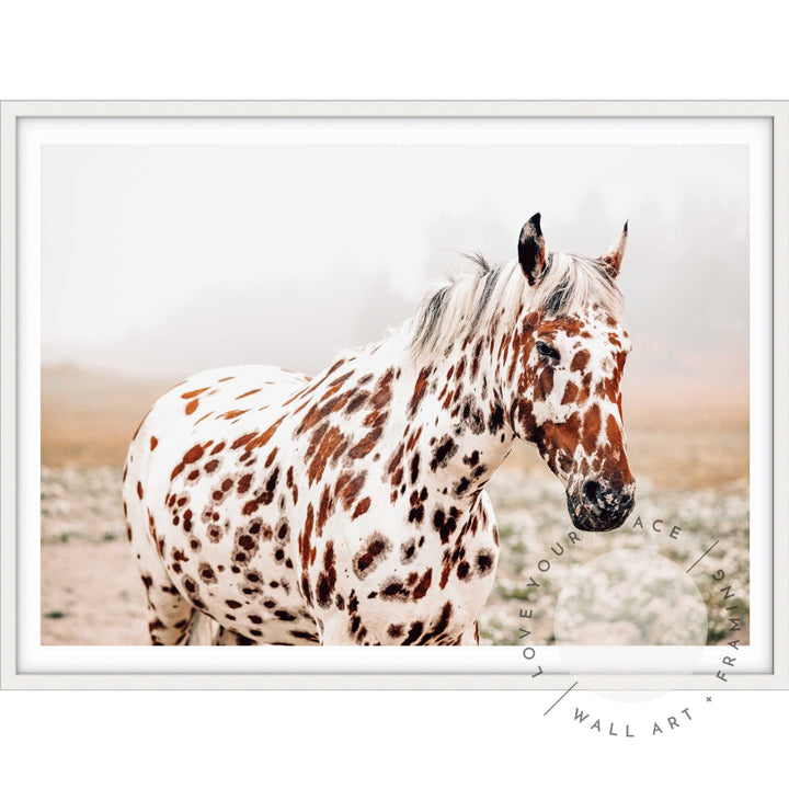 Spotty Horse