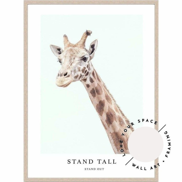 Stand Tall - Love Your Space