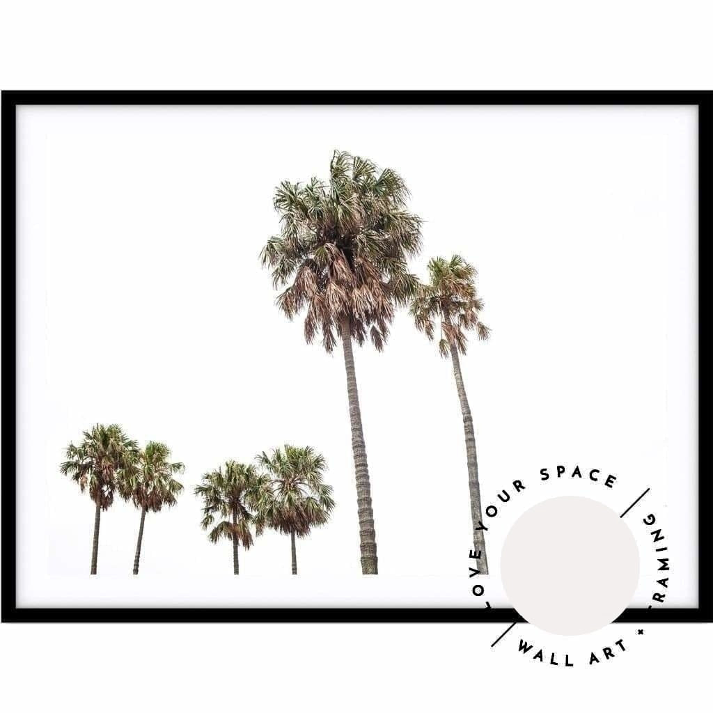 Tall Palms no.2 - Love Your Space