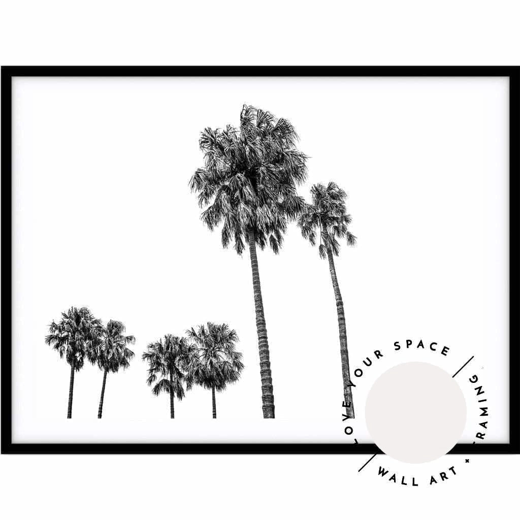 Tall Palms no.2 - Black & White - Love Your Space