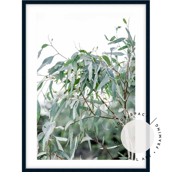 The Darling River Gum Leaves - Love Your Space