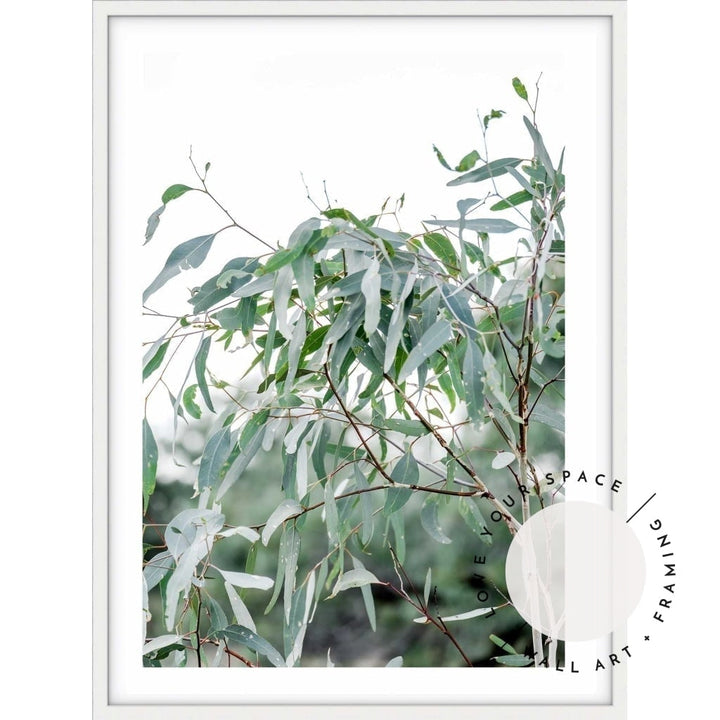 The Darling River Gum Leaves - Love Your Space