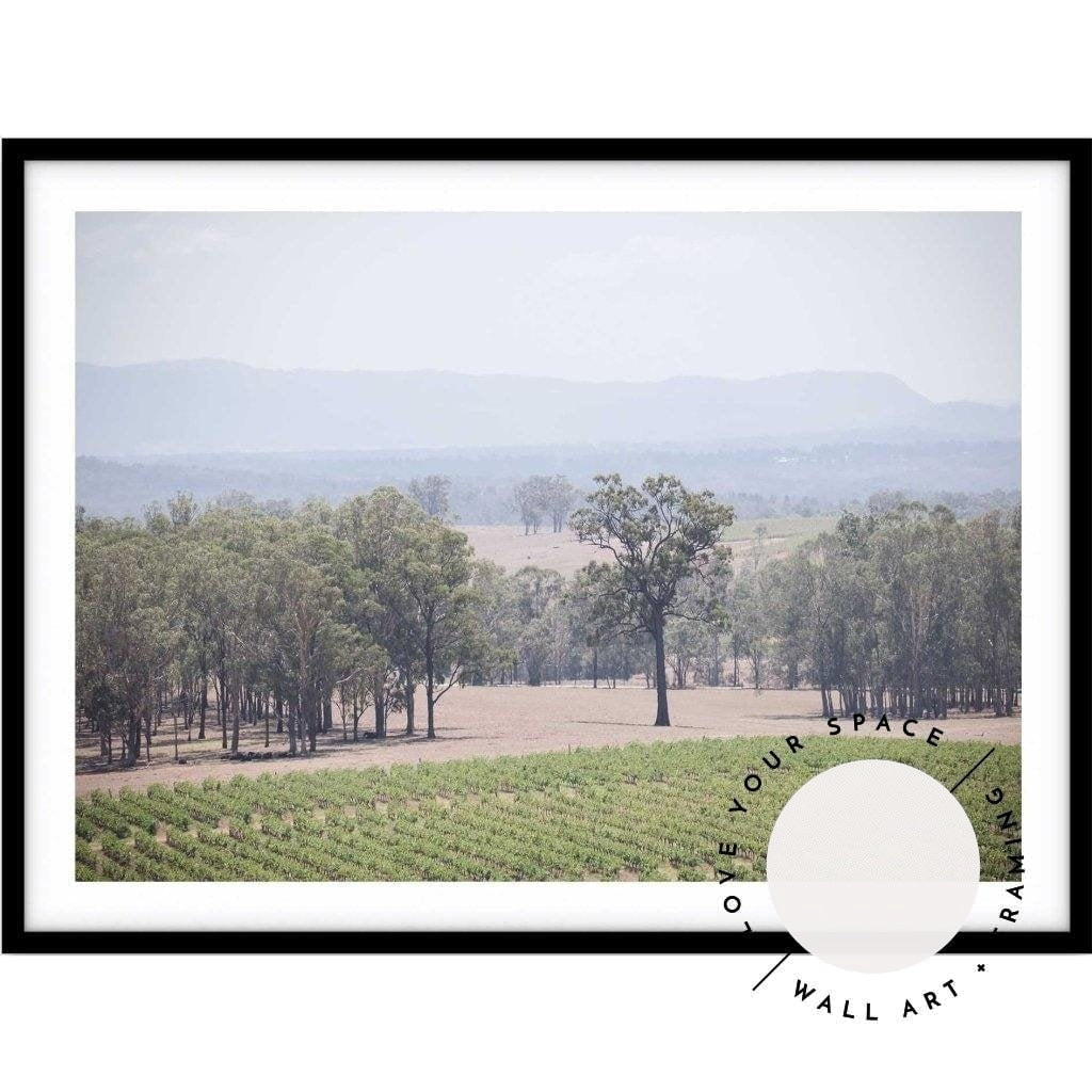 The Hunter Valley Vineyards - Love Your Space