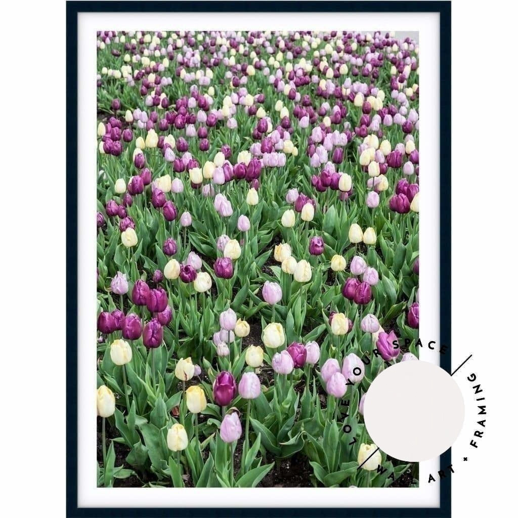 Tulip Field - Love Your Space