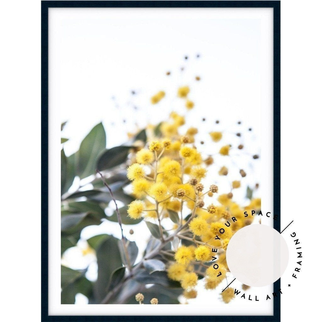 Wattle II - Love Your Space