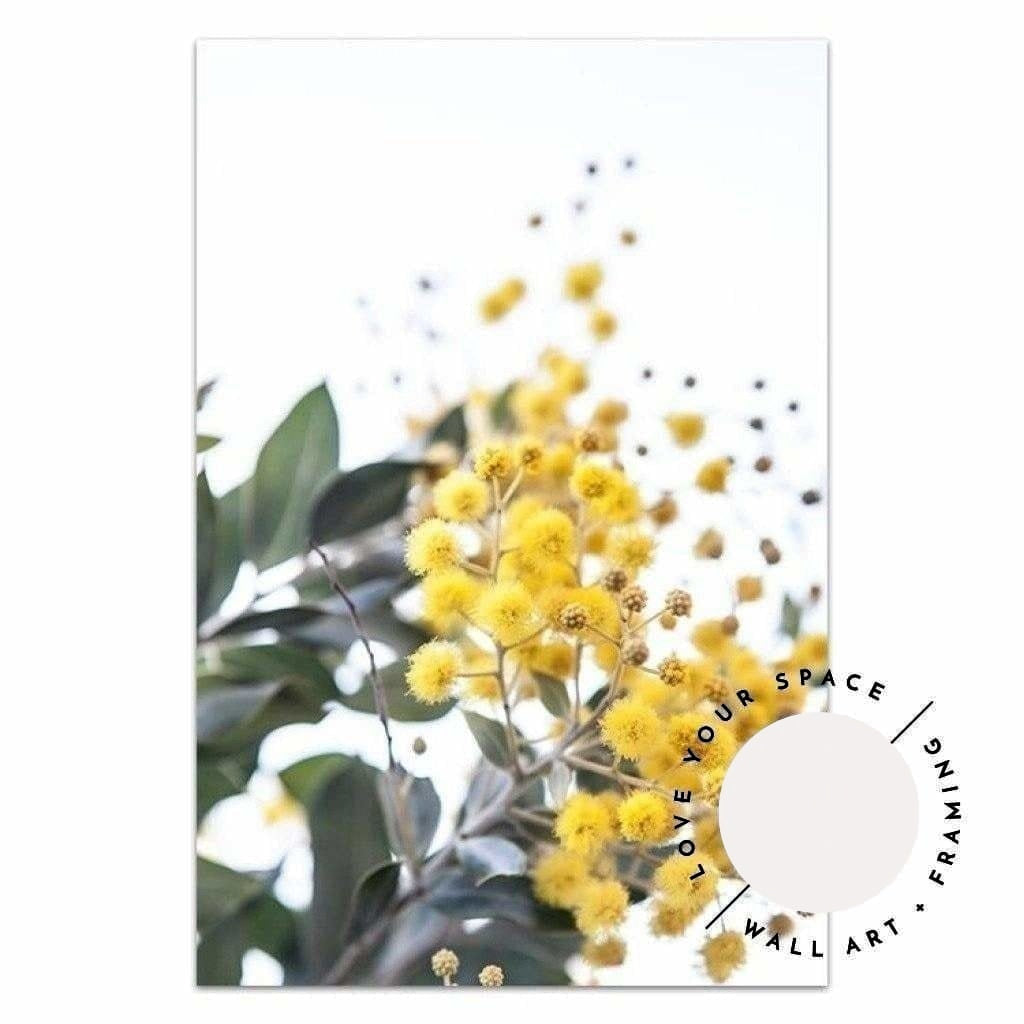 Wattle II - Love Your Space