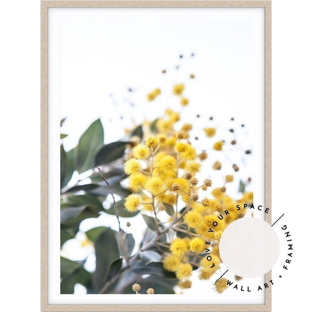 Wattle II - Love Your Space