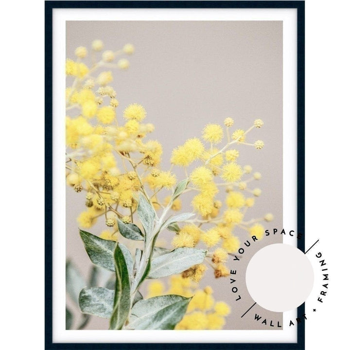 Wattle III - Love Your Space