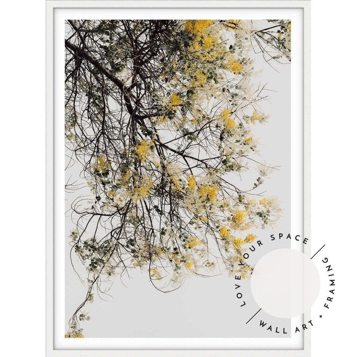 Wattle Tree - Love Your Space