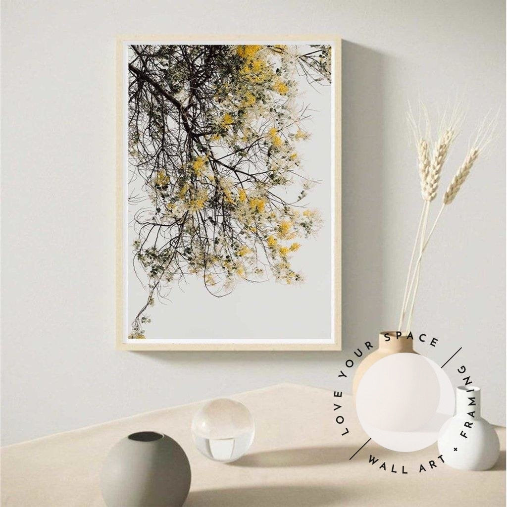 Wattle Tree - Love Your Space