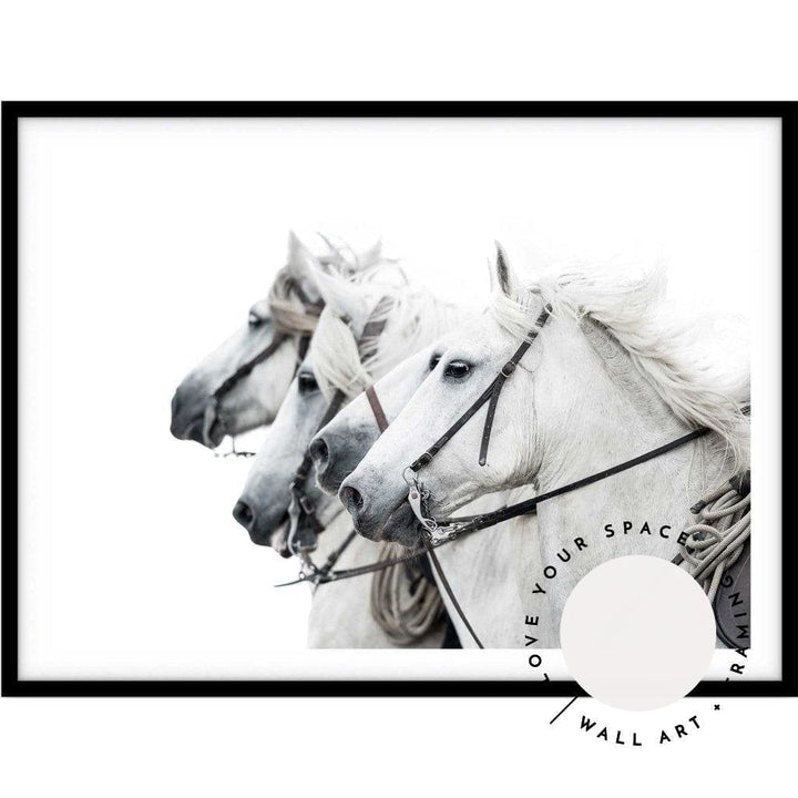 White Stallions - Love Your Space